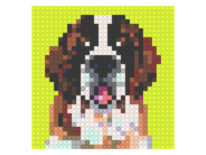 Pet Mosaic Build Instructions