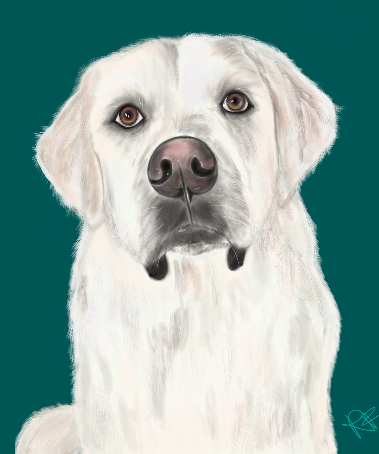 Custom Pet Portrait