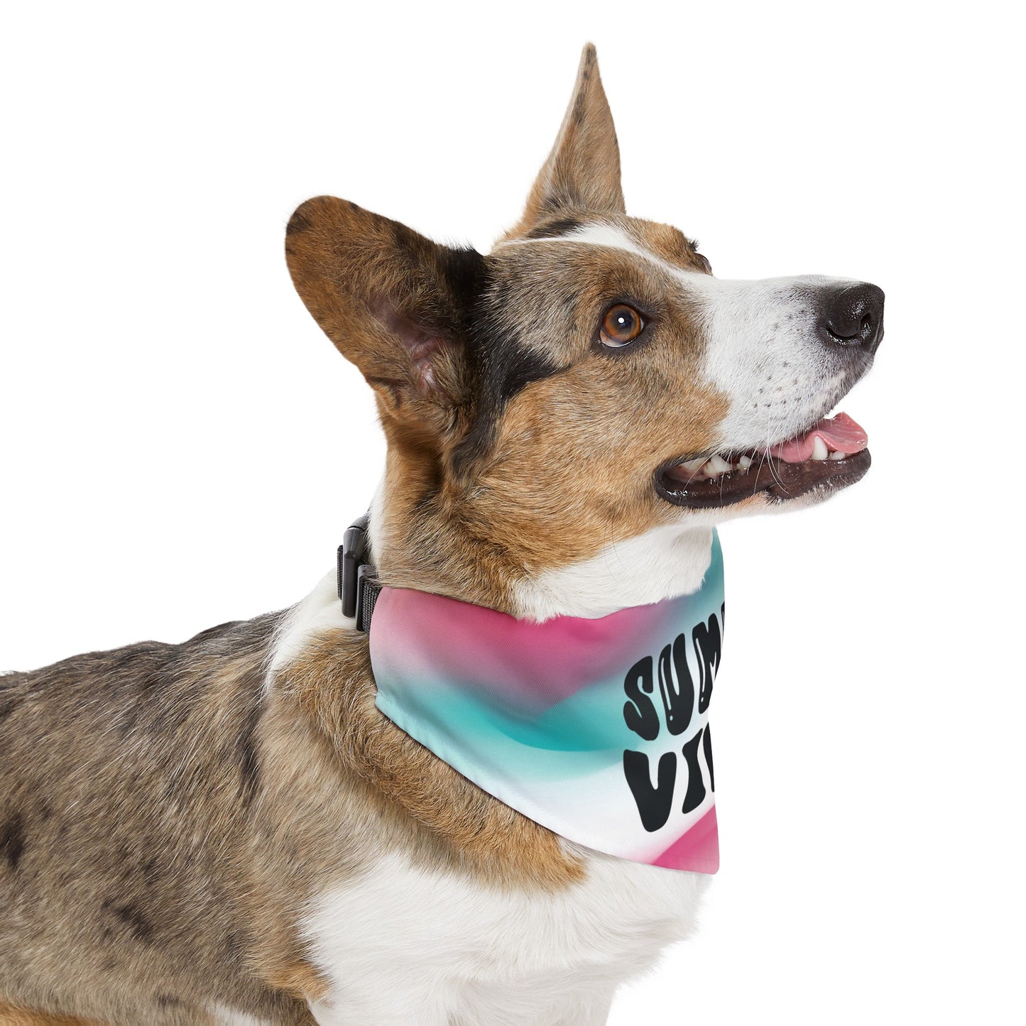 Summer Vibin' Pet Bandana Collar