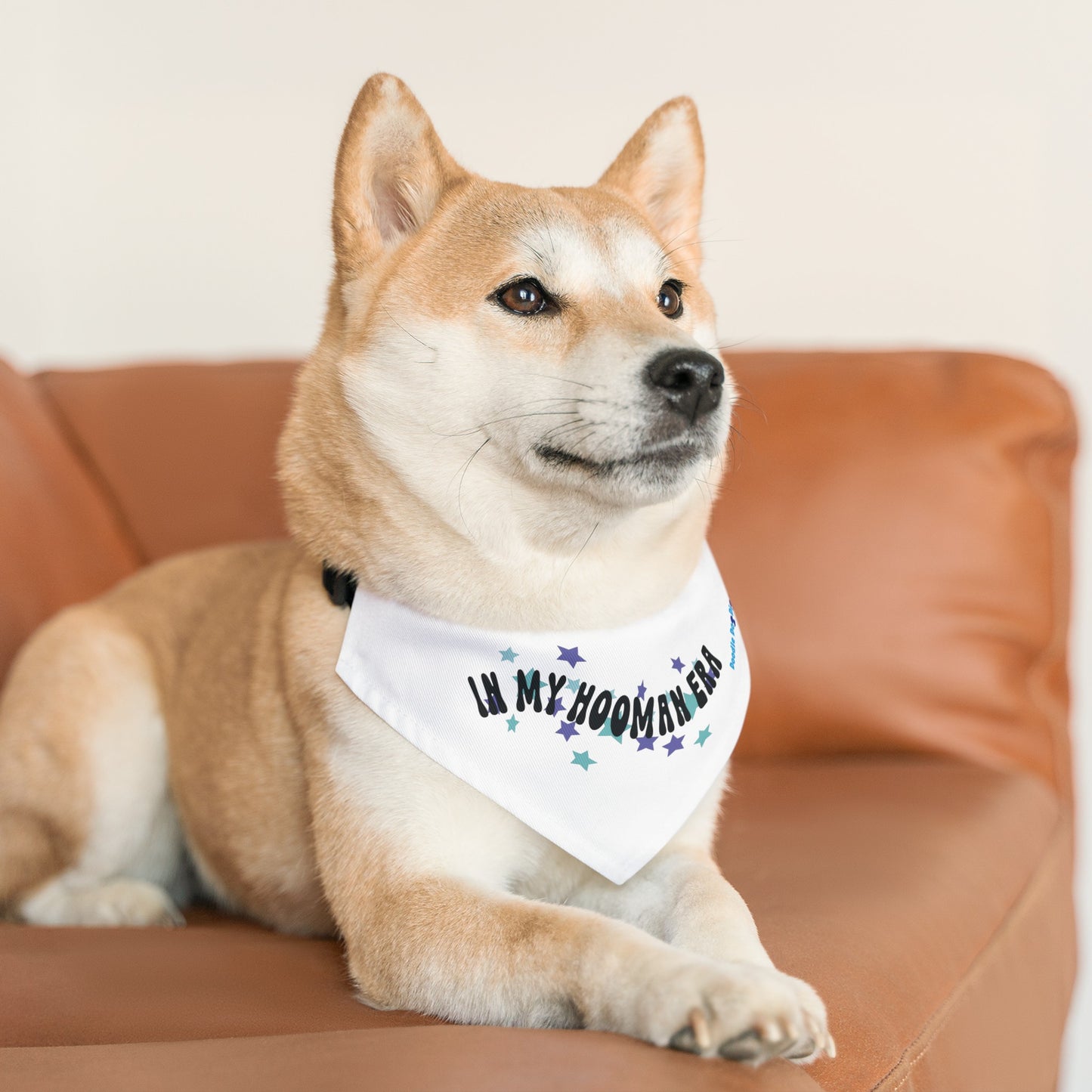 "In My Hooman Era" Pet Bandana Collar