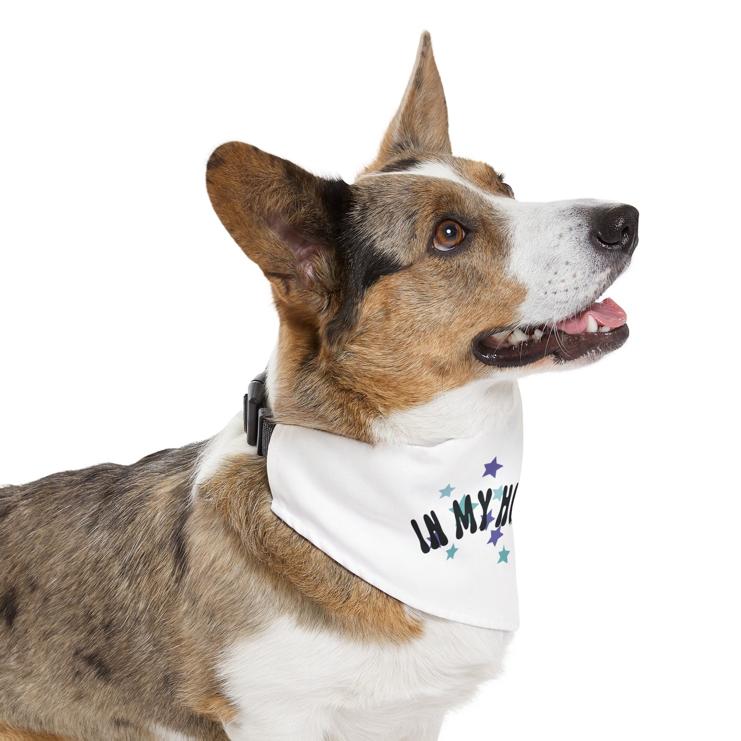 "In My Hooman Era" Pet Bandana Collar