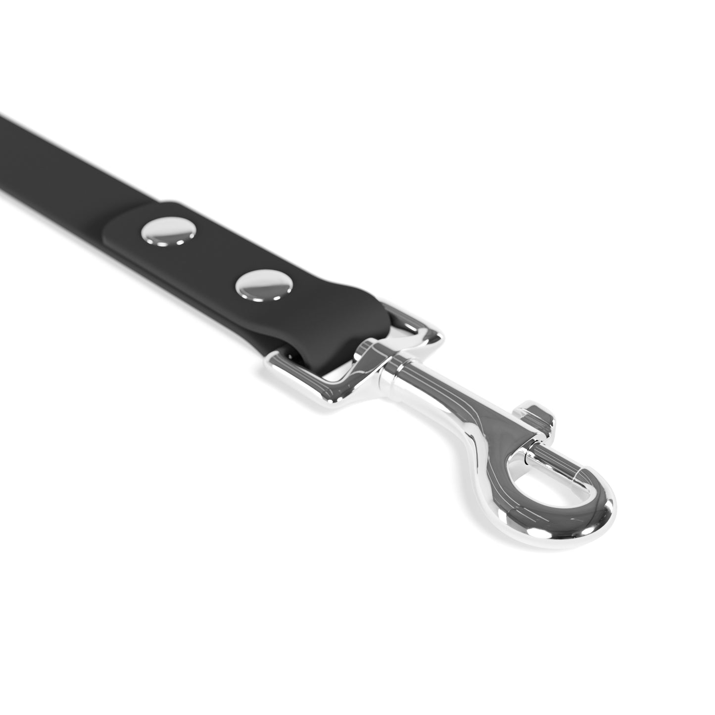 Doodle Dogs Leash