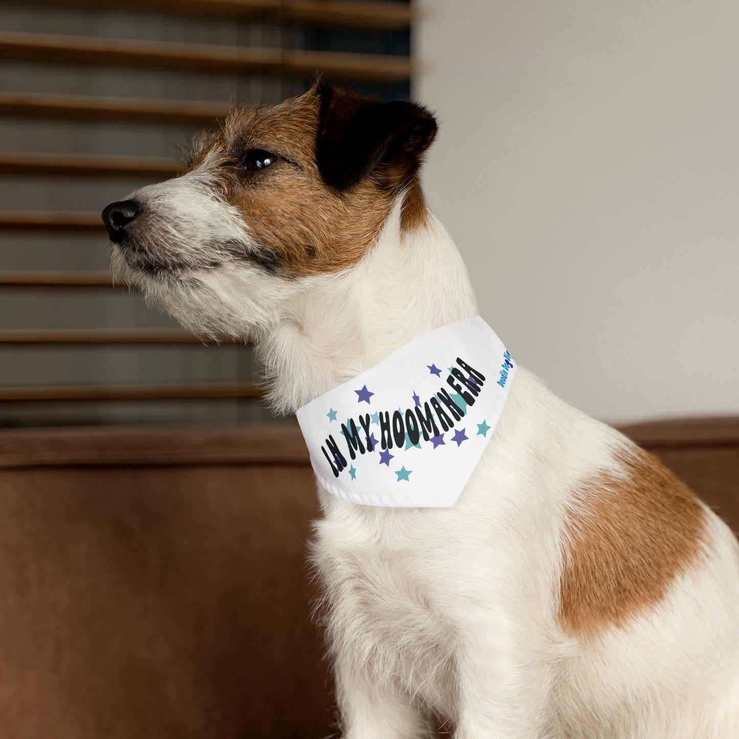 "In My Hooman Era" Pet Bandana Collar