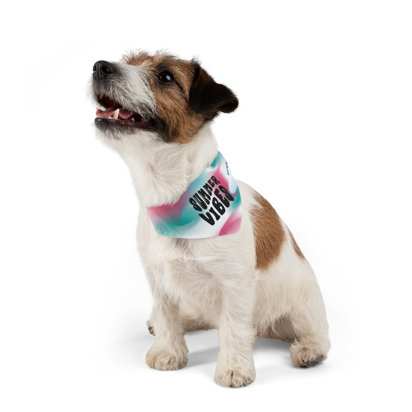 Summer Vibin' Pet Bandana Collar