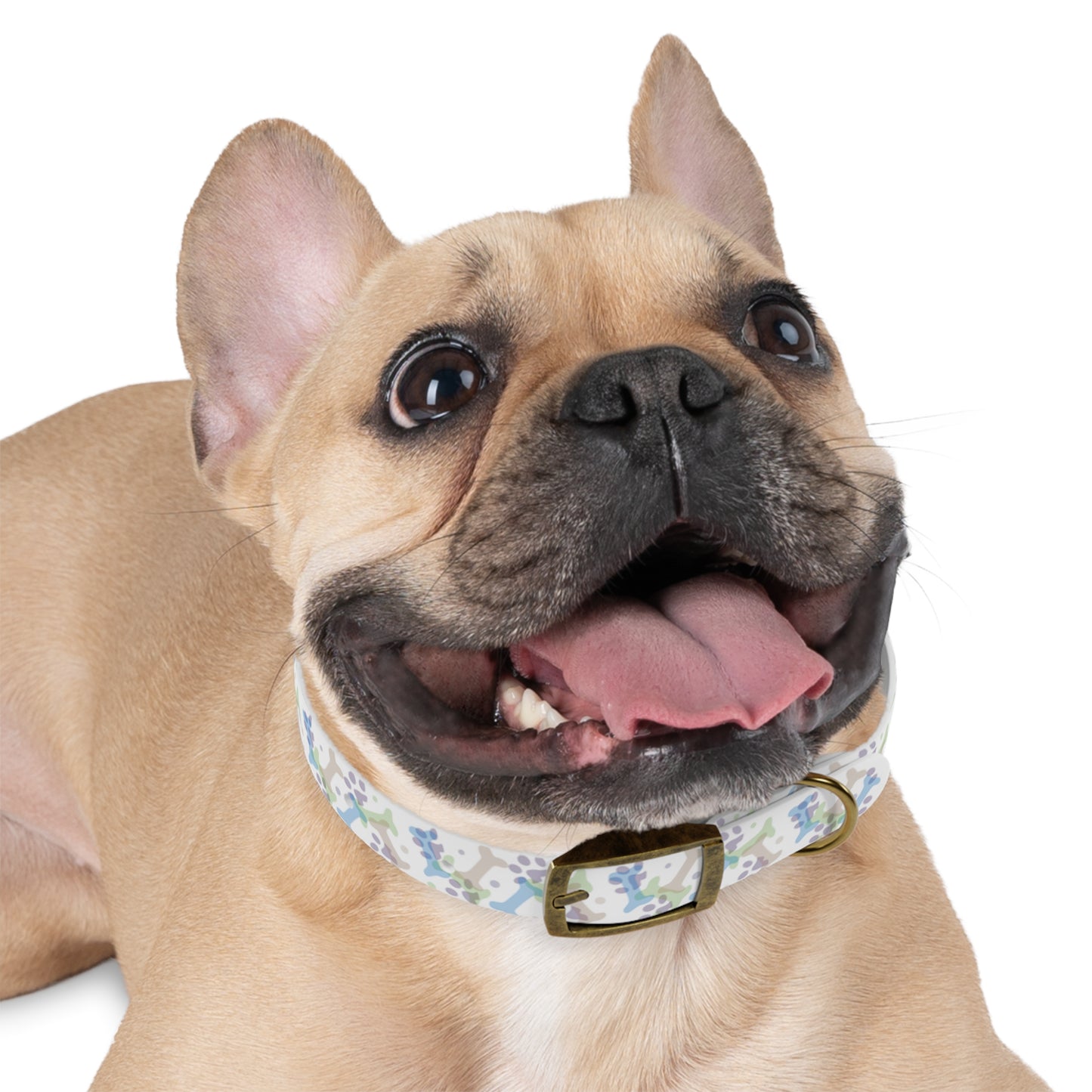Doodle Dogs Playful Pup Collar