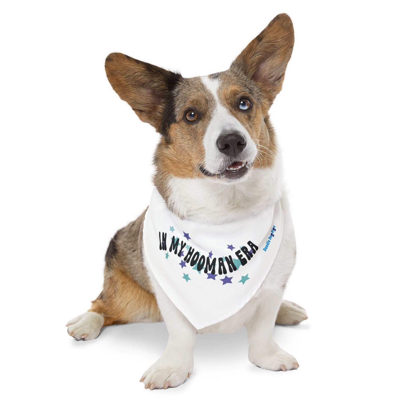 "In My Hooman Era" Pet Bandana Collar
