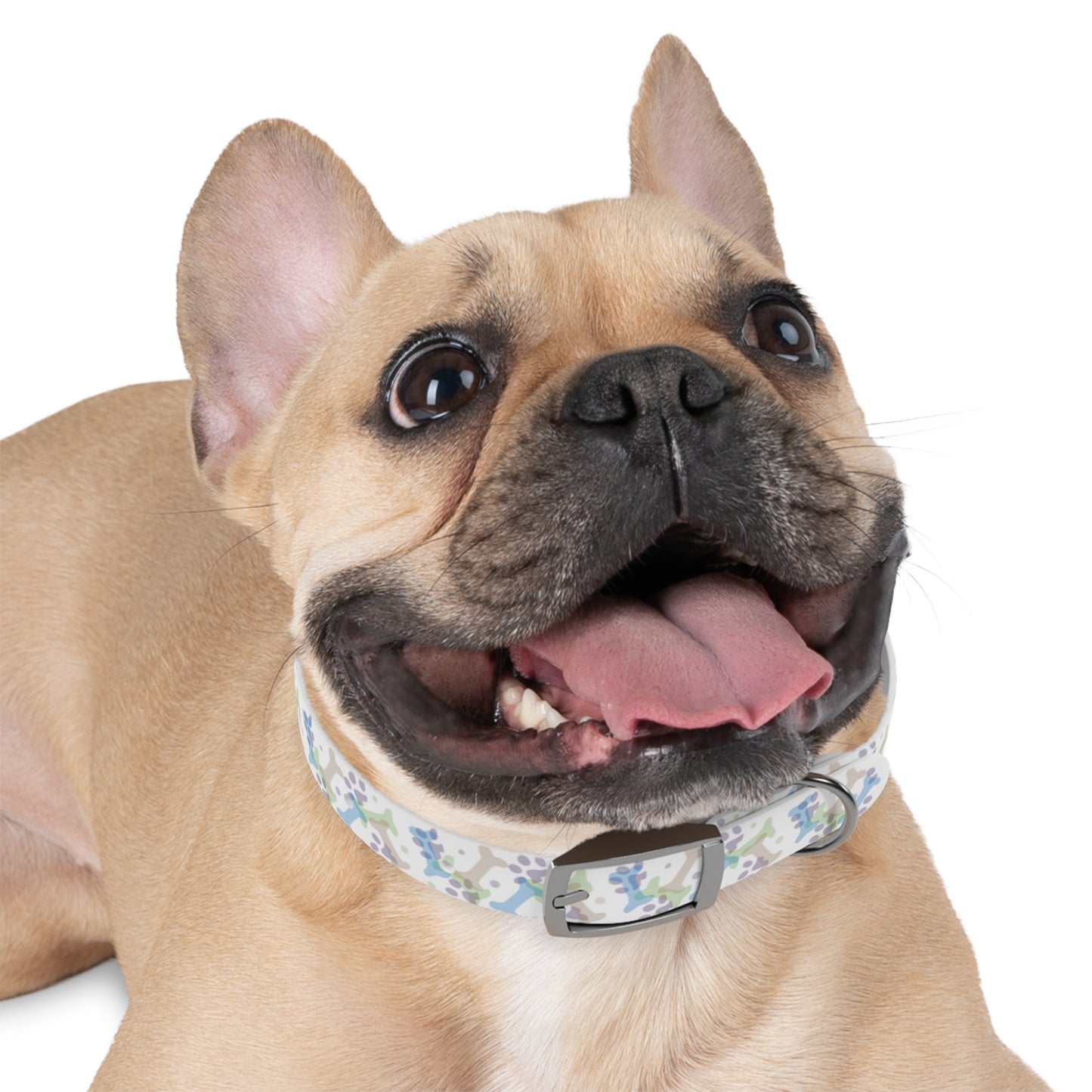 Doodle Dogs Playful Pup Collar
