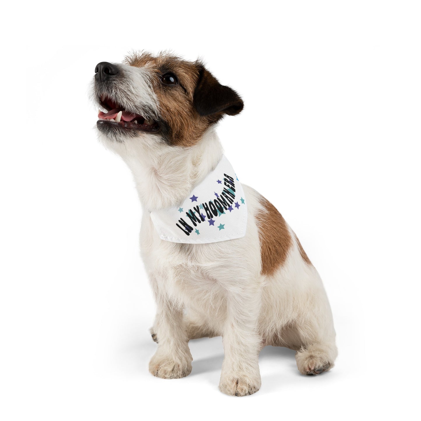 "In My Hooman Era" Pet Bandana Collar