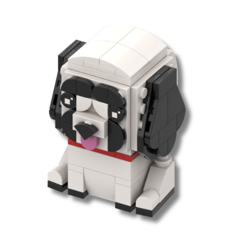 3D Pet Build Instructions