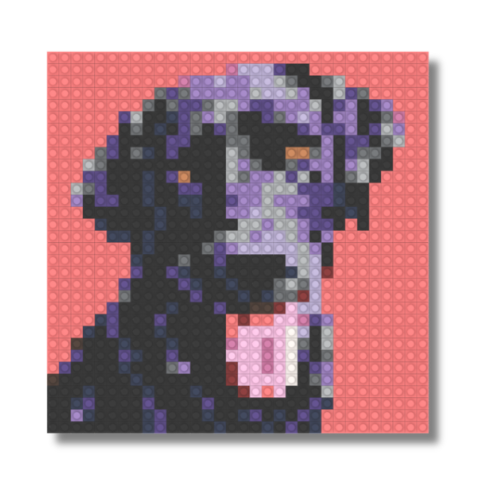 Pet Mosaic Build Instructions