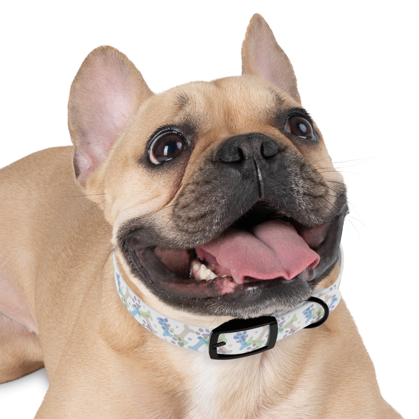 Doodle Dogs Playful Pup Collar