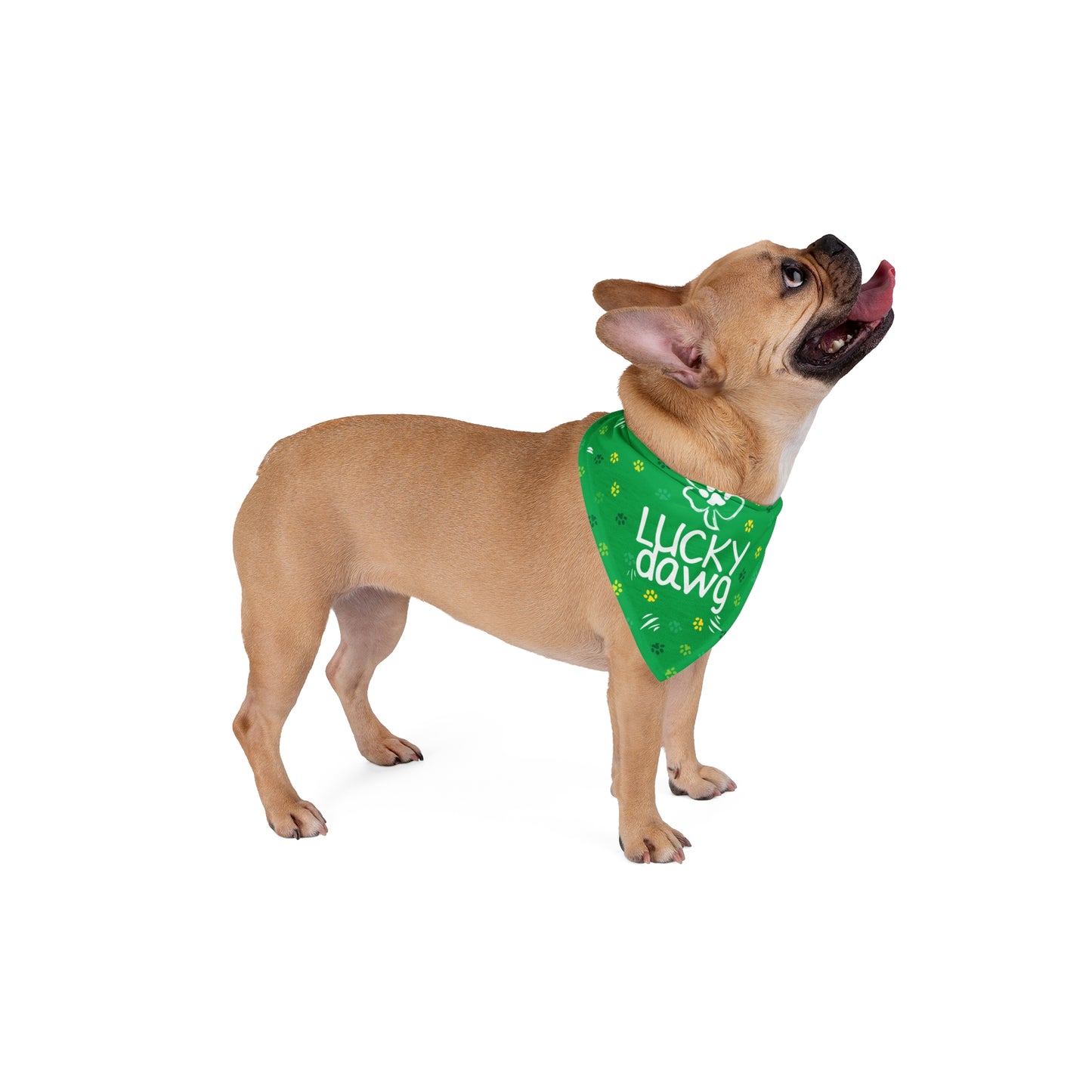 Lucky Dawg Pet Bandana