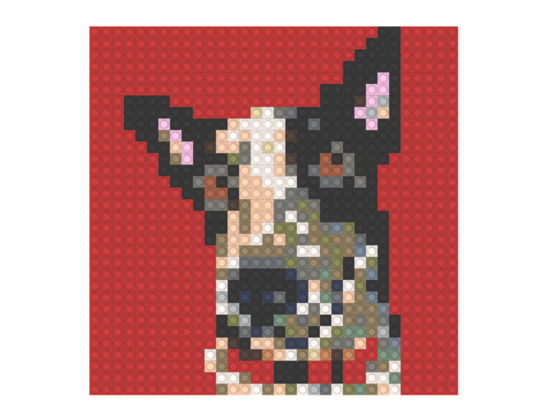 Pet Mosaic Build Instructions