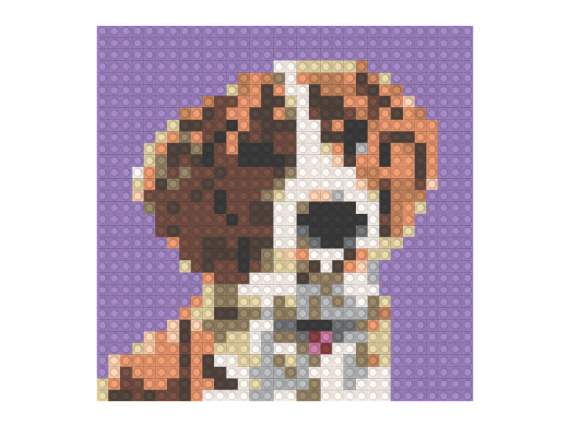 Pet Mosaic Build Instructions