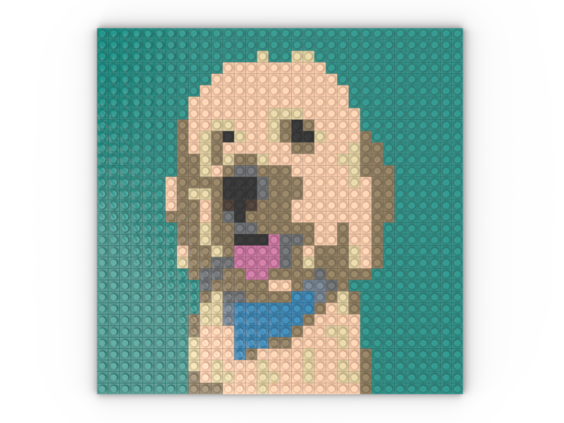 Pet Mosaic Build Instructions