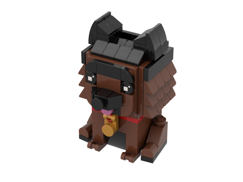 3D Pet Build Instructions