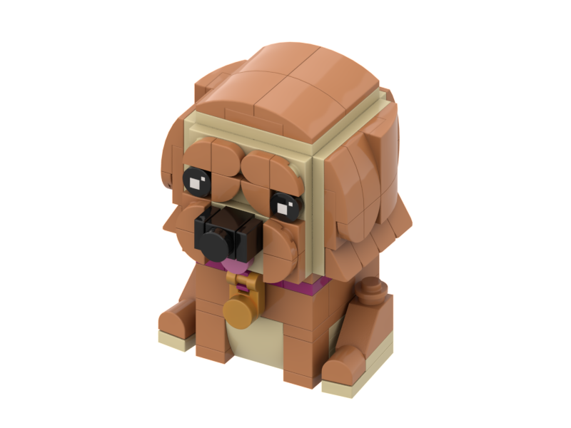 3D Pet Build Instructions