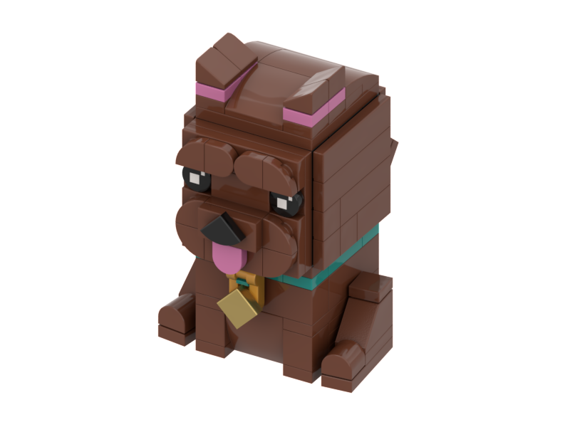 3D Pet Build Instructions
