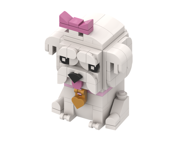 3D Pet Build Instructions