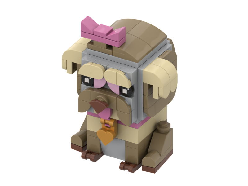 3D Pet Build Instructions